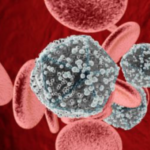 Virus de inmunodeficiencia humana - HIV