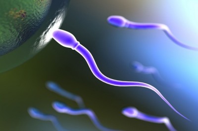 Infertilidad factor masculino, infertilidad hombres